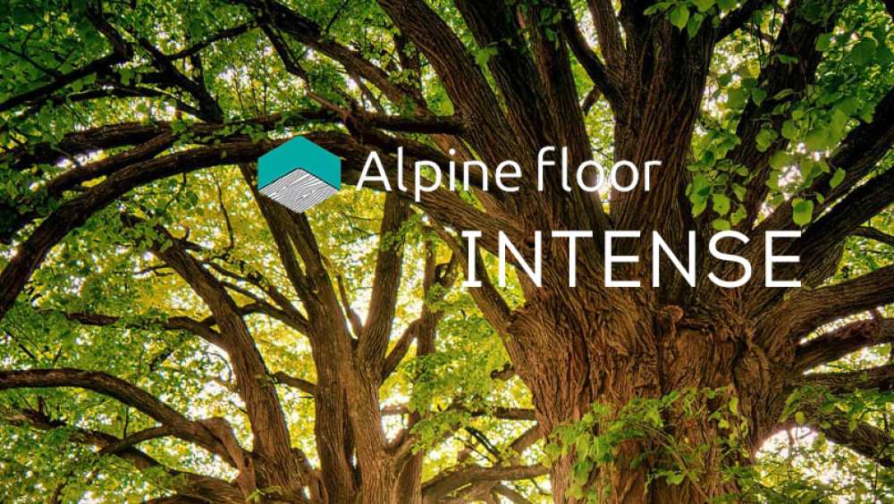 Акция на новую коллекцию Alpine Floor INTENSE
